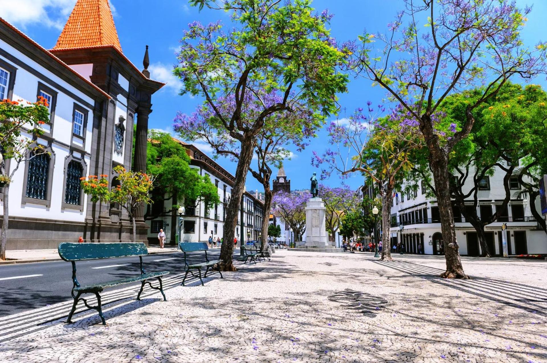 Stylish Apartment With Balcony And Amazing Views Over Funchal And The Sea Funchal (Madeira) Exterior foto